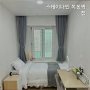 스테이나인