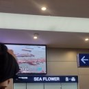 보길도우리민박 | 부산여행 2일차 (feat 대마도)