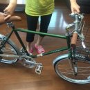 [ViTo] 미니벨로 자전거 ViTO 20형 시마노14단 (크로몰리프레임) 이미지