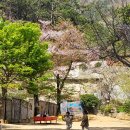 초등 4,5학년이 꼭 알아야 할 미국교과서 영단어/독해(영어로 배워요) step1 | 7세 영어 시작 전 꼭 알아야 할 대치동 빅3 스타일 로드맵 &amp; 교재 추천