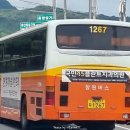 동읍1267 이미지