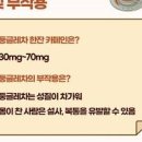 둥굴레차 효능 동글레차 카페인 물 대신 마셔도 될까? 이미지