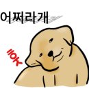 금곡LPG충전소 이미지