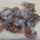 OK도매횟집 - 북구 금곡동 | OK도매횟집