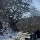 마곡사관광지 | [공주] 마곡사 겨울 방문 후기 | 방문팁·소요시간 정리