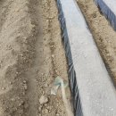 죽곡농장 이미지