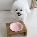 저단22 이미지