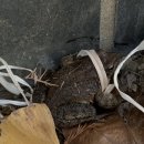 두라농장 이미지