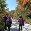 봉오3리 이미지