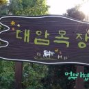 대암목장 이미지