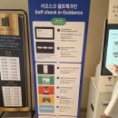 에버호텔 | 한국민속촌·에버랜드 가깝던 얼레이호텔 숙박 후기