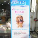 펫살롱 코코 이미지