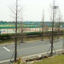 강서체육공원 이미지