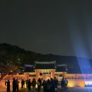 매일이 소풍 같던 나의 5월 [2026년 5월 한 달 일기]