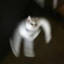 언남중학교 이미지