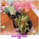 박선호이비인후과의원 | 팔도한식~경주시 중부동 인근 한식 우회전 본점 ୧ʕ•̀ᴥ•́ʔ୨ GOGO!!