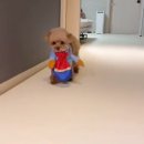 멍돌이와 멍순이 이미지