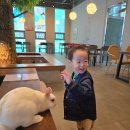 크레이쥬 이미지