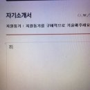 영일기업 | 올영 메이트에서 트레이너로 (이제 큐레이터라네요)