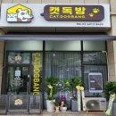 캣독방 이미지