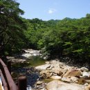 대원사계곡 이미지