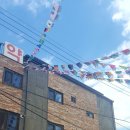 광지원약국 이미지