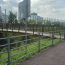 고덕수변공원 이미지