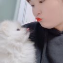 떡이랑 빵이랑 이미지