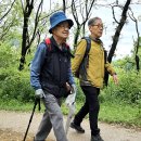 안산자락길 (35 매화산악회 정기산행 - 2024. 5. 7) 이미지