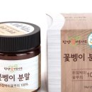 만나굼벵이