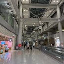 드라마힐즈주 | [호주/시드니,멜버른] 8박11일 자유여행 | ①② Day1,2 일정 : 인천공항, 시드니공항, 싱글오커피...