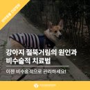 벡스코 동물병원 이미지