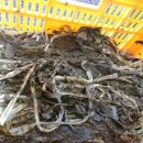 동락가든 이미지