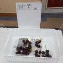 덕화 농장 이미지