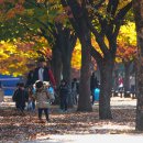 사뿐사뿐 이미지