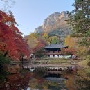장미야탑부동산공인중개사사무소 이미지