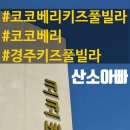 코코베리 키즈풀빌라 이미지