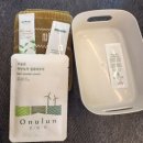 오늘한잔 | 제주 서귀포/ 오늘은 녹차한잔 , 제주 투어패스 족욕 체험 후기 (입장료, 주차, 소요시간 총정리)