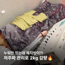 (주)쥬비스다이어트 서초점 이미지