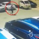 천억로또 이미지