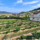 순흥농원 이미지