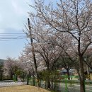 보헤미안펜션 이미지