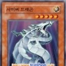 군자홀릭
