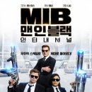 이유인터네셔널