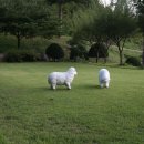 오재울농장 이미지