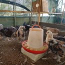 초원농장 이미지