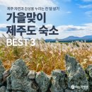 산방 보누스 | 제주도 숙소 추천 BEST 3(feat. 미스터멘션 가을 제주 보름 살기 이벤트)