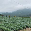 평창군청 티스토리