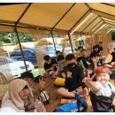 경희대 최강 태권도장 이미지