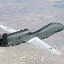 더호크